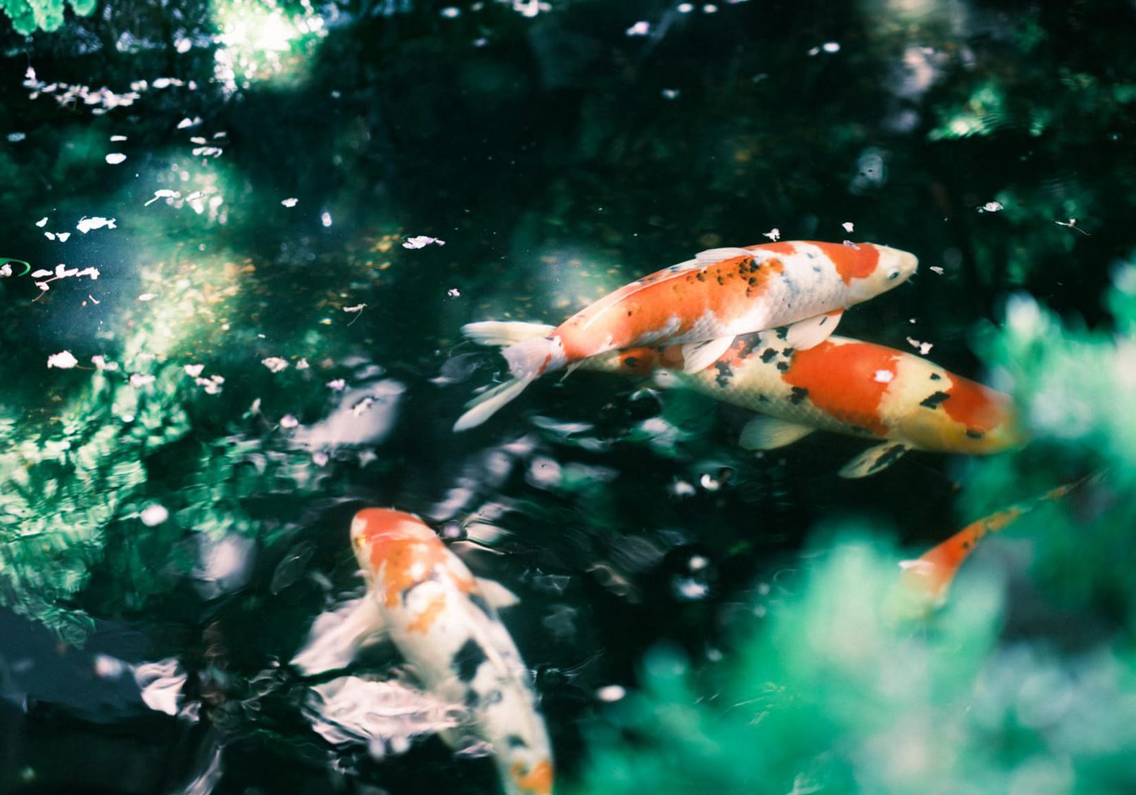 過ごし方アイキャッチ2